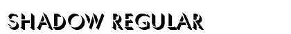 Shadow Regular Preview