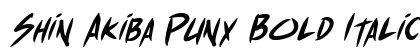 Shin Akiba Punx Bold Italic Preview