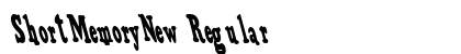 ShortMemoryNew Regular Preview