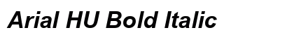 Arial HU Bold Italic Preview