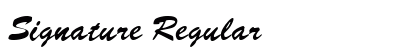 Signature Regular preview