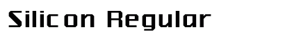 Silicon Regular preview