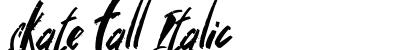 skate fall Italic preview