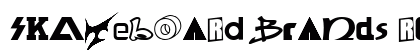 SKATEBOaRD braNds Regular preview