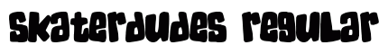SkaterDudes Regular preview