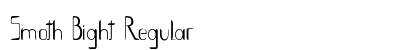 Smoth Bight Regular preview