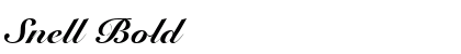 Snell Bold preview
