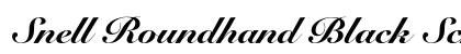 Snell Roundhand Black Script Preview