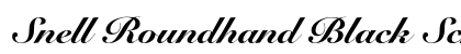 Snell Roundhand Black Script Preview