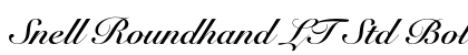 Snell Roundhand LT Std Bold Script Preview