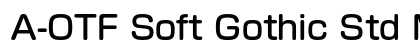 A-OTF Soft Gothic Std M Preview