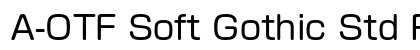 A-OTF Soft Gothic Std R Preview