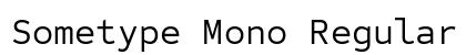 Sometype Mono Regular Preview