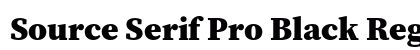 Source Serif Pro Black Regular preview