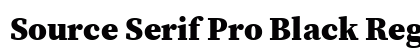 Source Serif Pro Black Regular preview