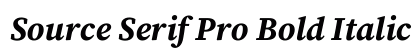 Source Serif Pro Bold Italic Preview