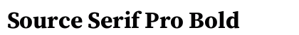 Source Serif Pro Bold Preview