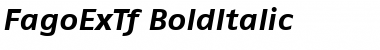 FagoExTf ItalicBold Font