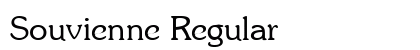Souvienne Regular preview