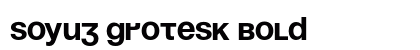 Soyuz Grotesk Bold preview