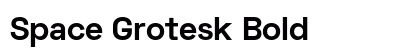 Space Grotesk Bold preview