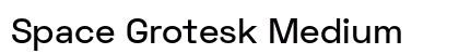 Space Grotesk Medium Preview