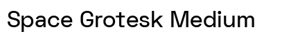Space Grotesk Medium Preview
