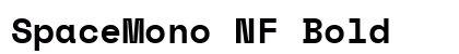 SpaceMono NF Bold preview