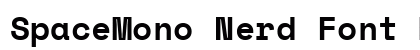 SpaceMono Nerd Font Mono Bold preview