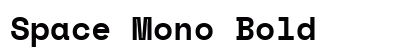 Space Mono Bold preview
