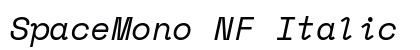 SpaceMono NF Italic Preview