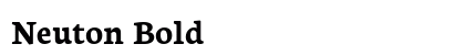 Neuton Bold preview