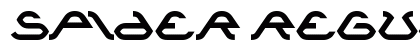 spider Regular preview