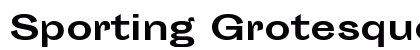 Sporting Grotesque Bold preview
