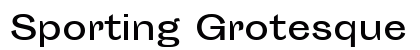 Sporting Grotesque Regular preview