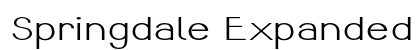 Springdale Expanded Bold Preview