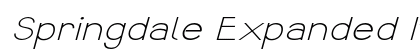 Springdale Expanded Italic Preview