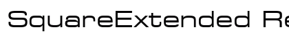 SquareExtended Regular preview