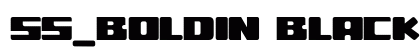ss_boldin Black preview
