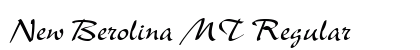 New Berolina MT Regular preview