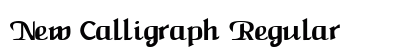 New Calligraph Regular preview
