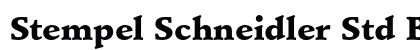 Stempel Schneidler Std Black preview