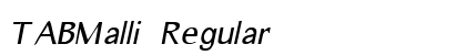 TABMalli Regular preview