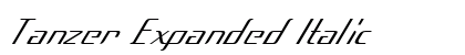 Tanzer Expanded Italic Preview