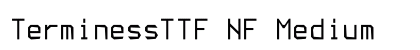TerminessTTF NF Medium preview