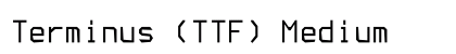 Terminus (TTF) Medium preview