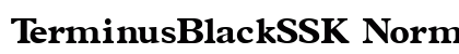 TerminusBlackSSK Normal preview