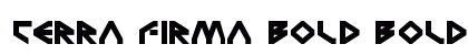 Terra Firma Bold Bold preview
