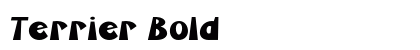Terrier Bold preview