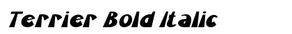 Terrier Bold Italic Preview